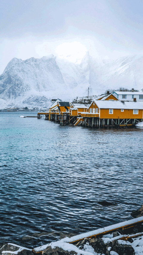 Polar glaciers screenshot