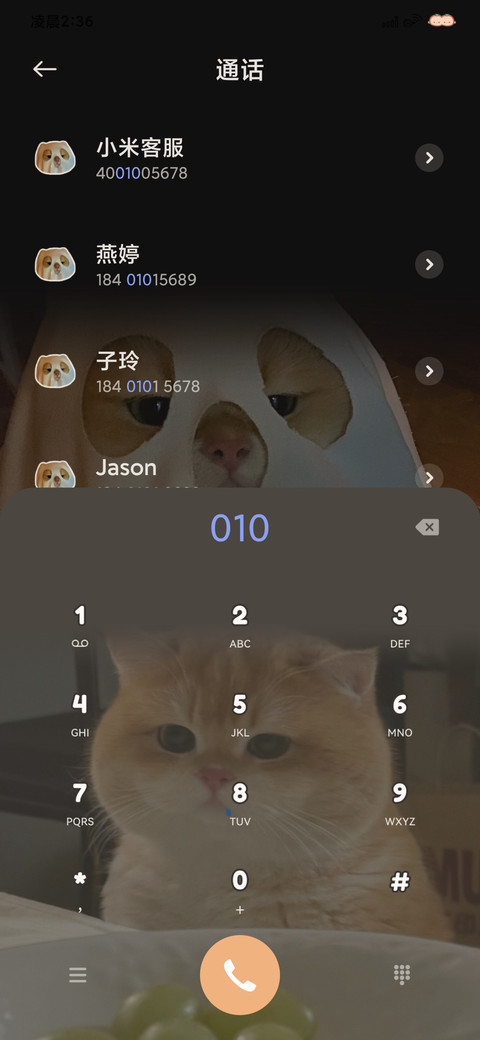坡坡猫大脸萌 screenshot