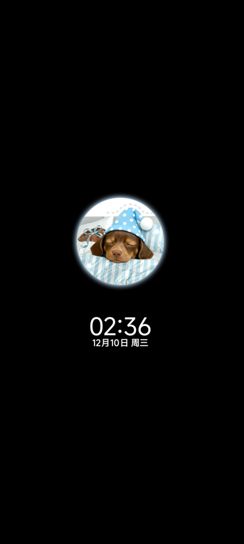 腊肠狗狗 好好睡觉 screenshot