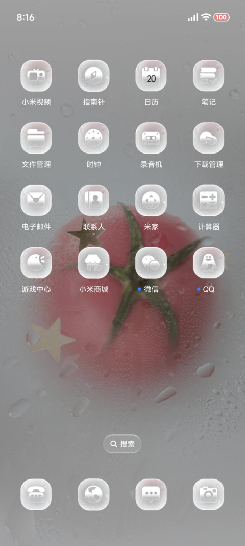 番茄花束赴夏 screenshot