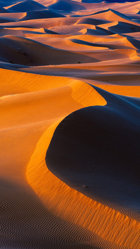 Taklamakan desert turns into grassland screenshot