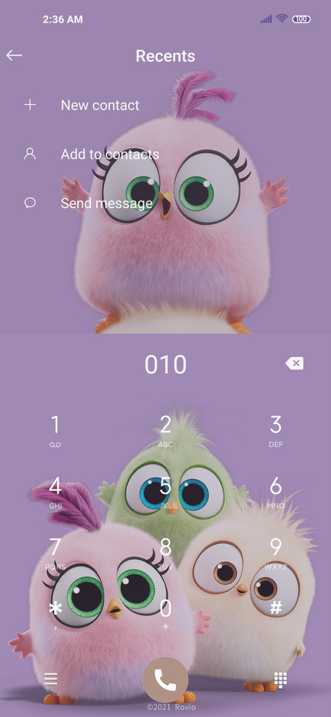 Angry bird dynamic screenshot