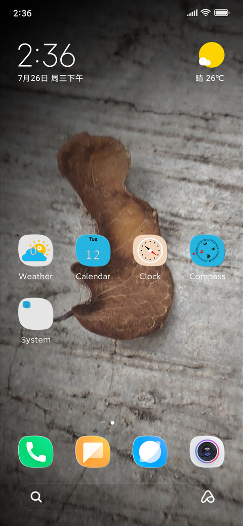 dried leaves screenshot