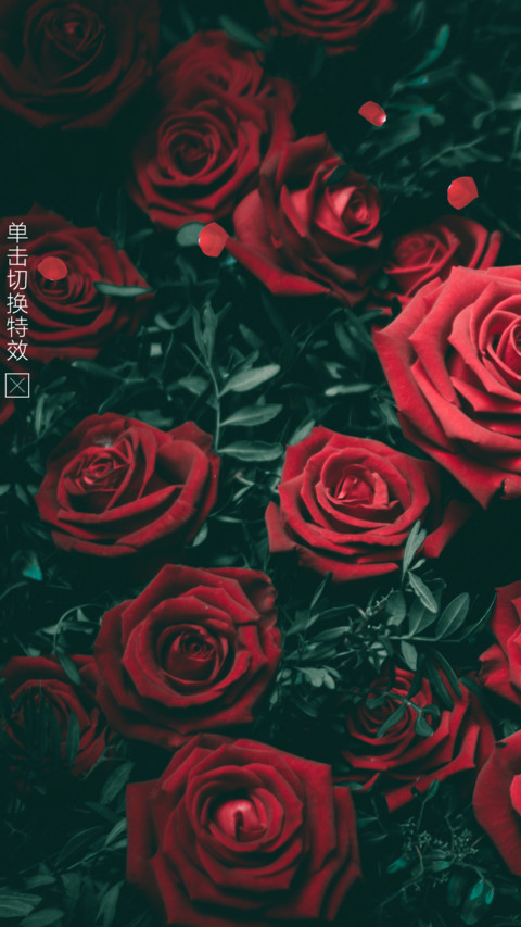 玫瑰花香 screenshot