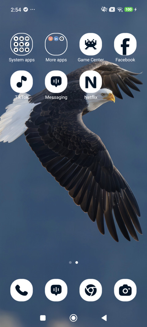 Soaring Eagle screenshot
