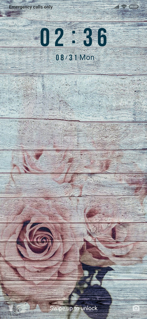 Roses on wooden wall_3MDS screenshot