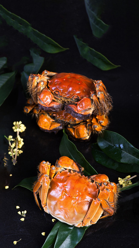 How to properly store crabs screenshot