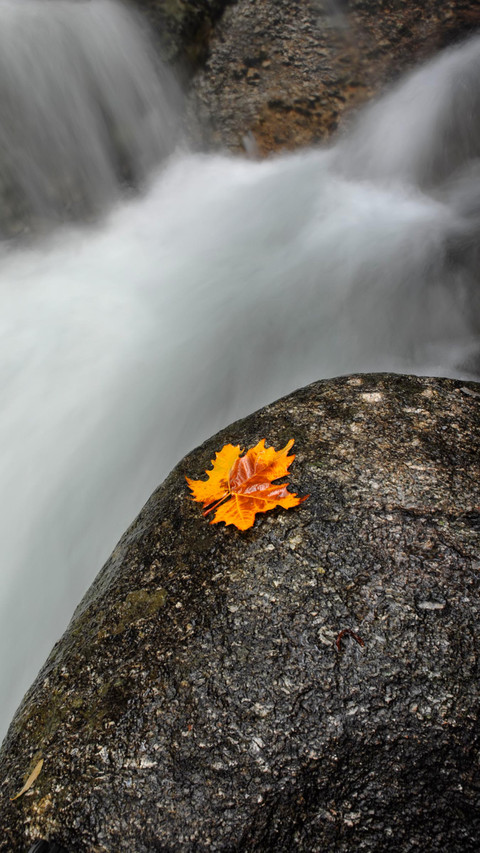 Beginning of Autumn screenshot