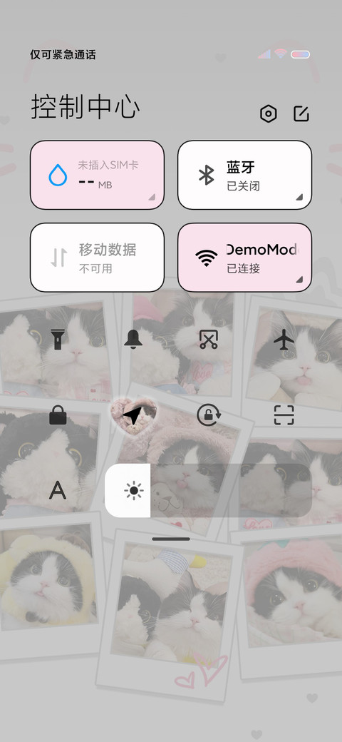 ins猫猫照片墙 screenshot