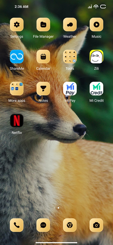 Foxy Look screenshot