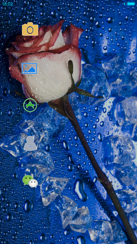 冷艳玫瑰 screenshot
