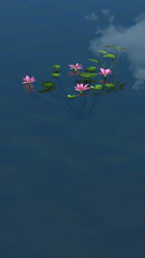 水中莲花 screenshot