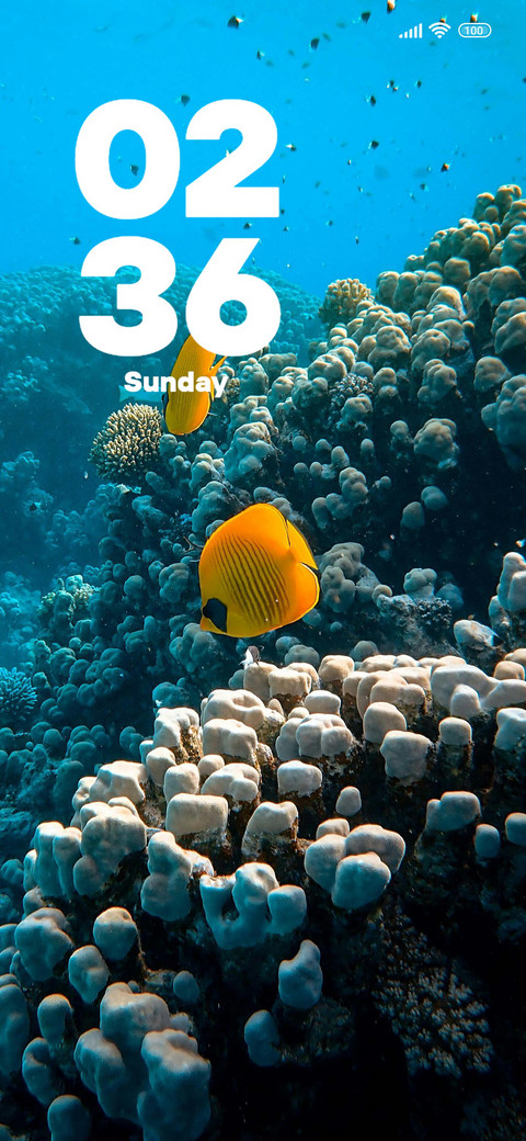 Sea screenshot