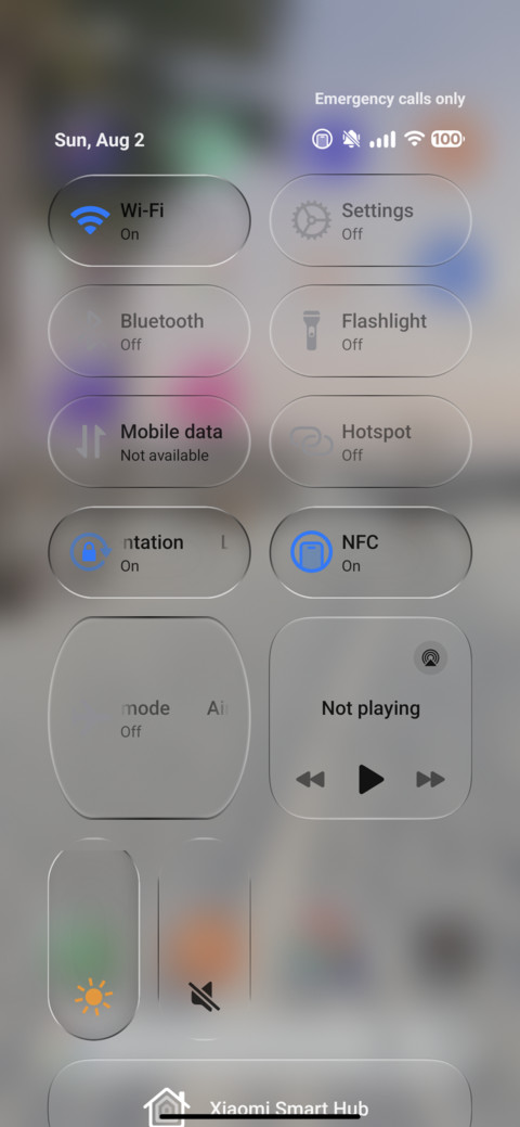 Translucent screenshot