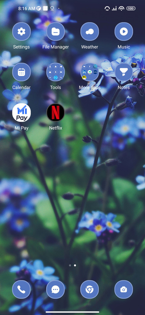 Tulips screenshot