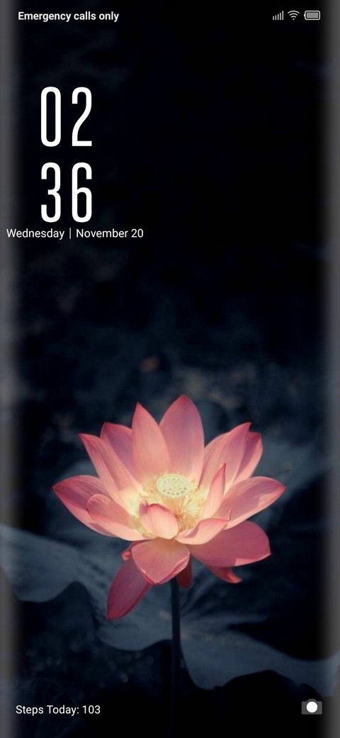 NextLvl_DWM3 screenshot