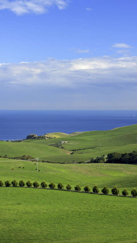 Scenery of Australian farms screenshot
