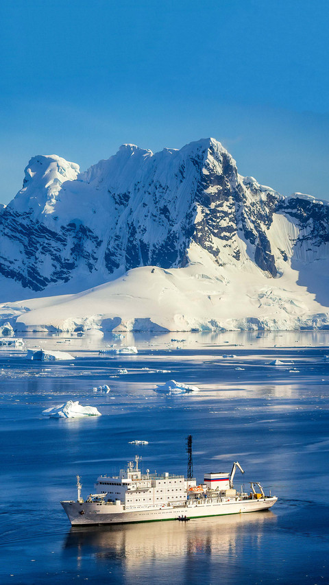 There are also plants in antarctica screenshot