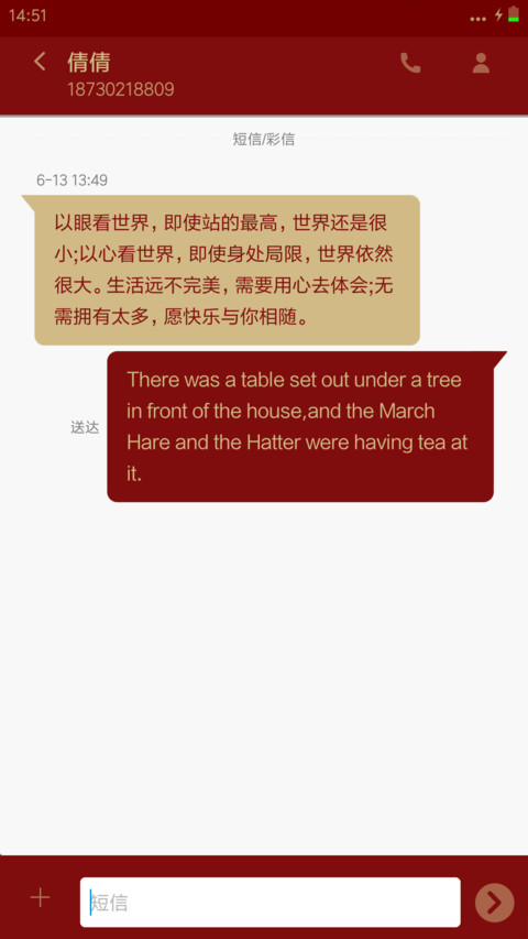 Codename IIM screenshot