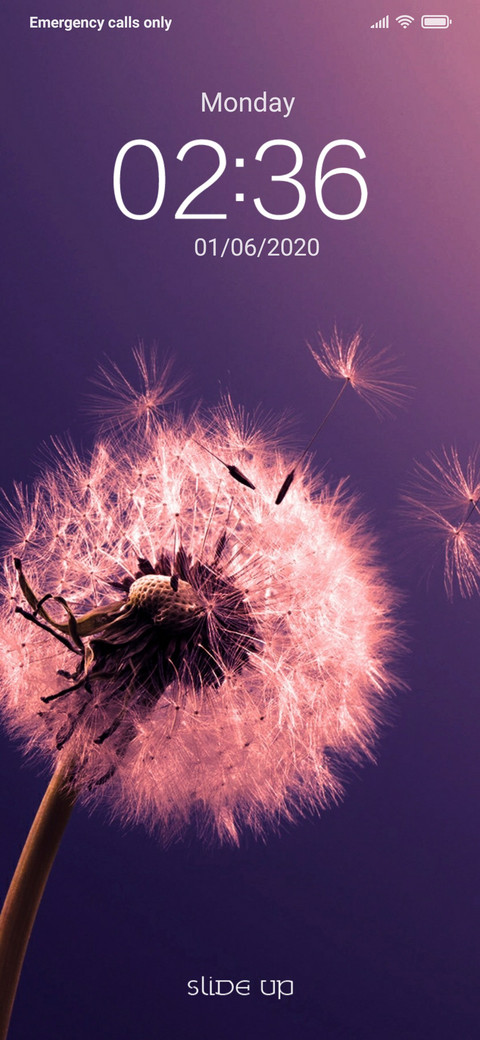 BLUEPHORIA In Designs  screenshot