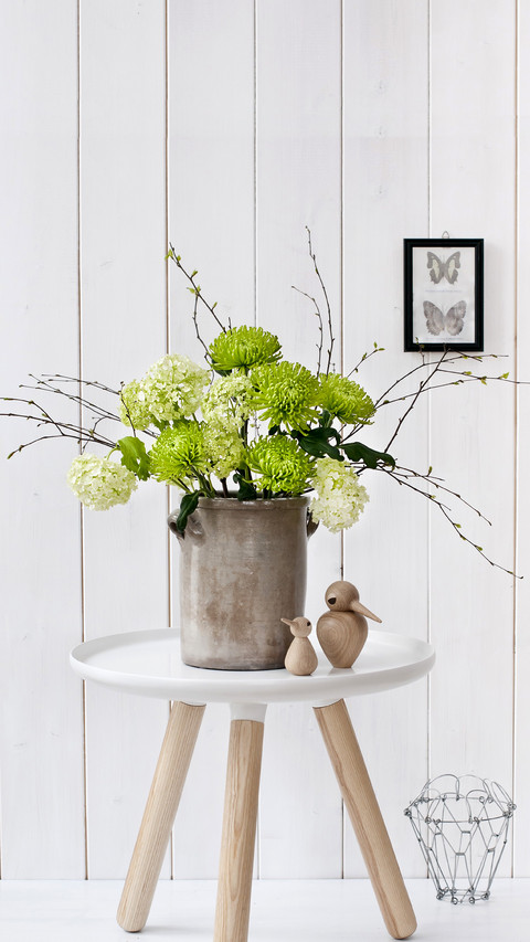 Misunderstanding of potted flower culture 71 screenshot