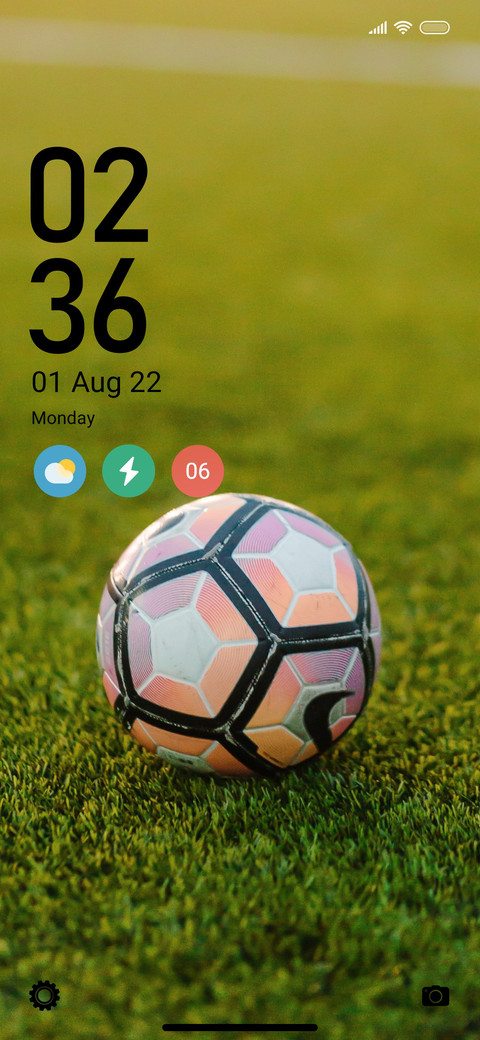 Sports_Grass screenshot