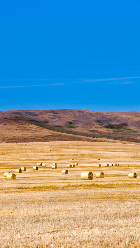 Prairie views of farmland in Southern Alberta Canada screenshot