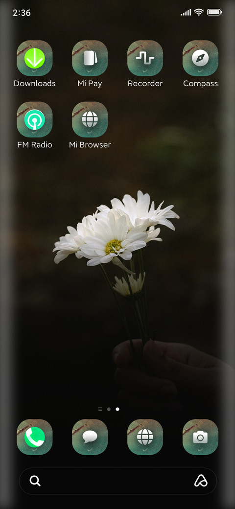 Phool screenshot