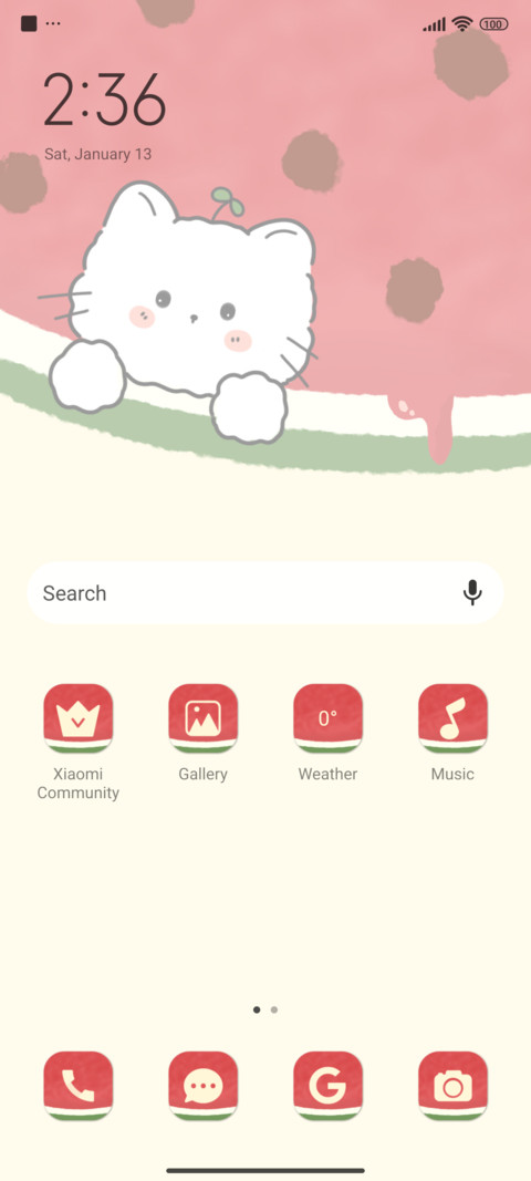 Watermelon Flavor screenshot