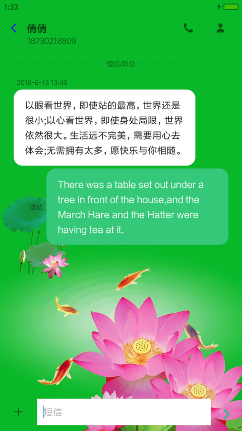 锦鲤荷花 screenshot