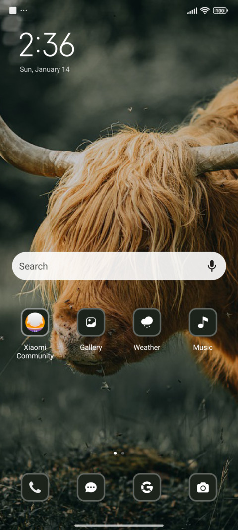 Bull screenshot