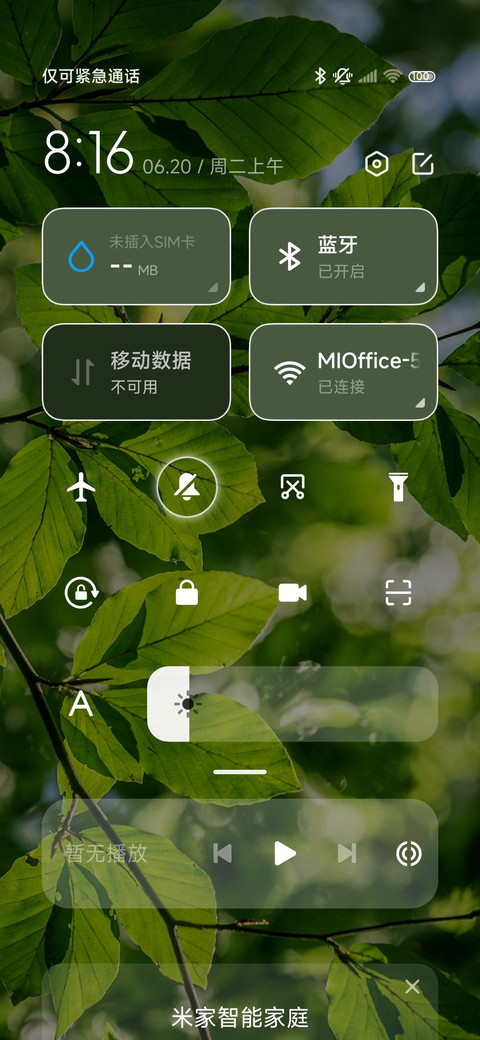夏日绿荫 screenshot