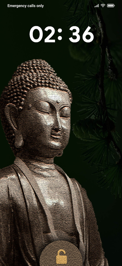 BUDDA_DWM19 screenshot