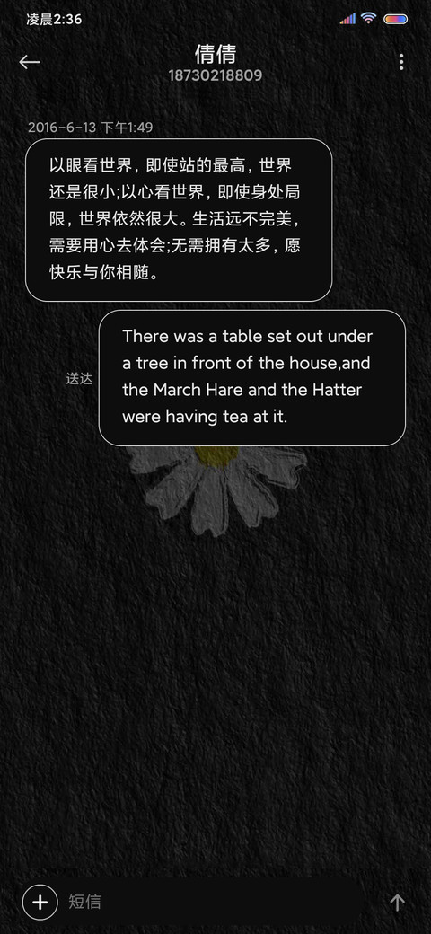 雏菊假日 screenshot