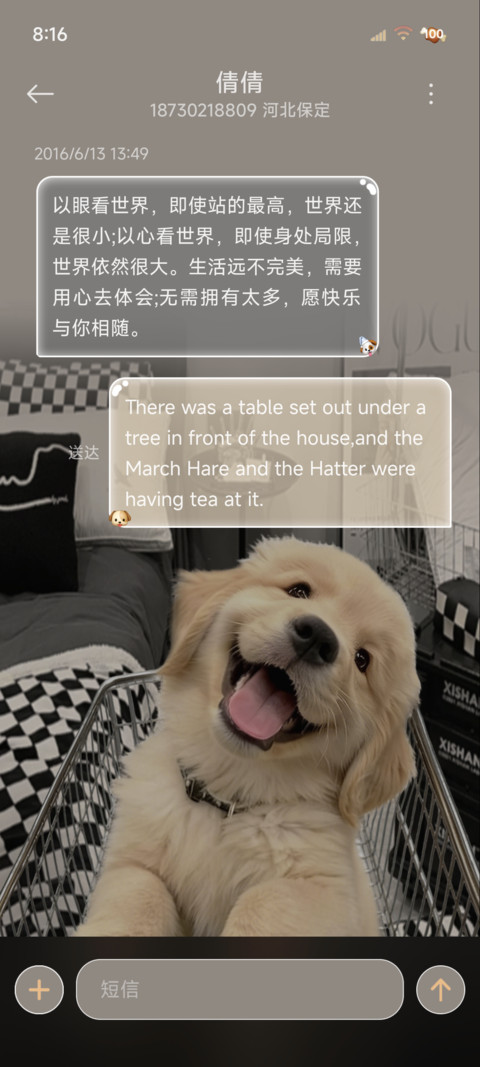 3D鱼眼景深小金毛 screenshot