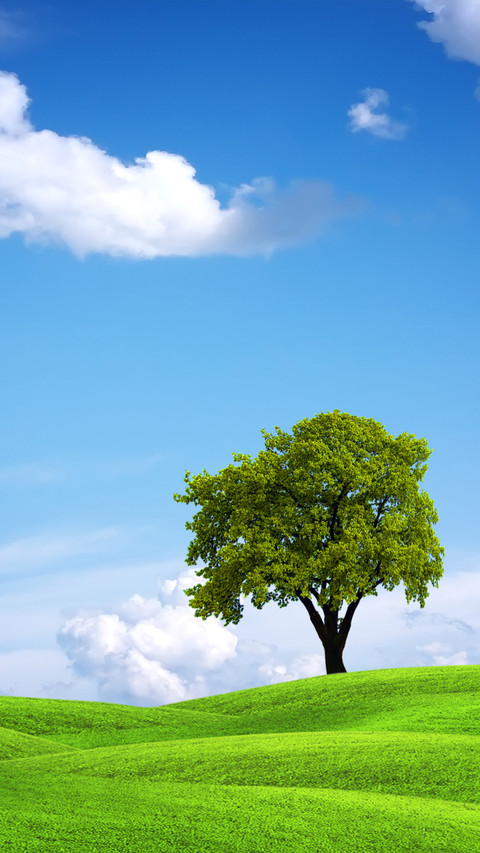 Green tree screenshot