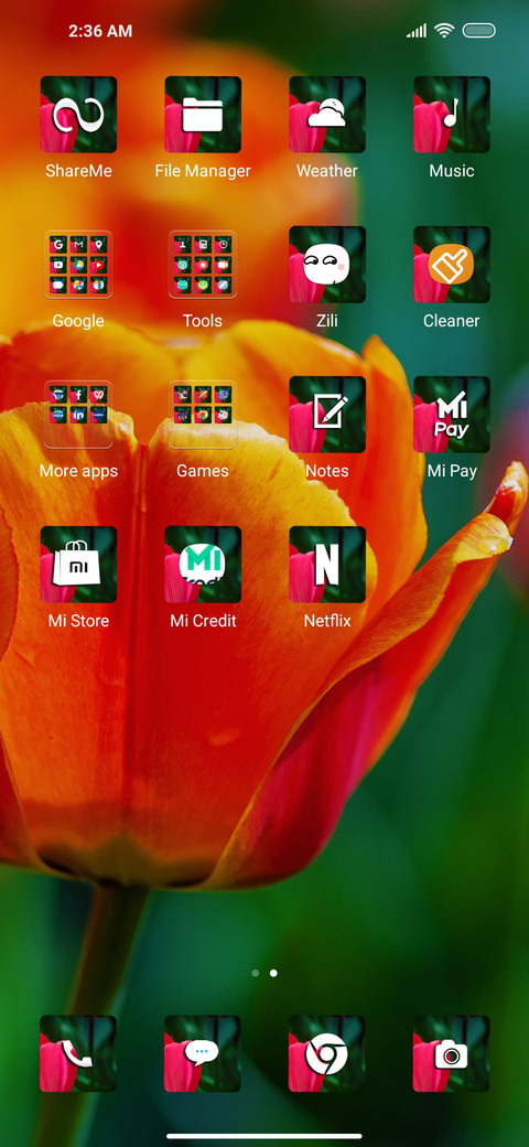Tulips duo screenshot