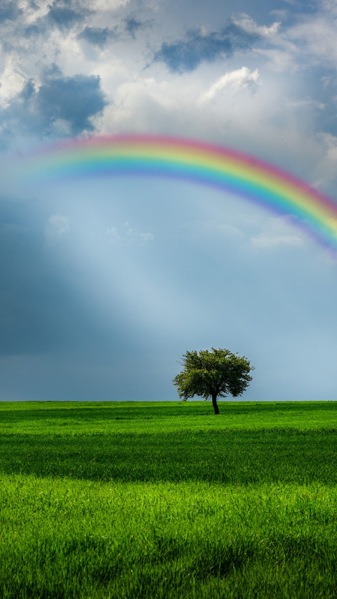 Stunning scenery of the rainbow fields screenshot