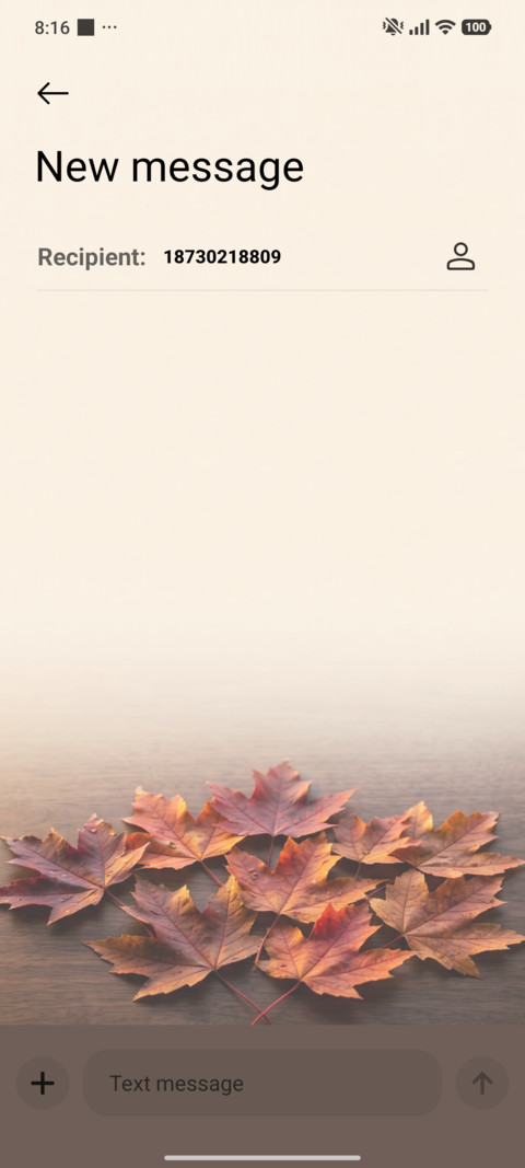 Maple Leaves screenshot