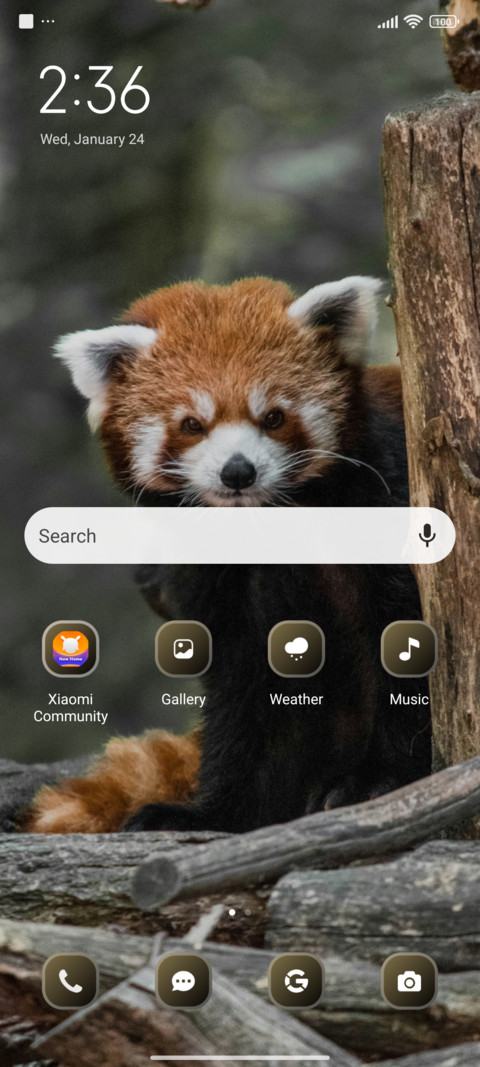 Baby Panda screenshot