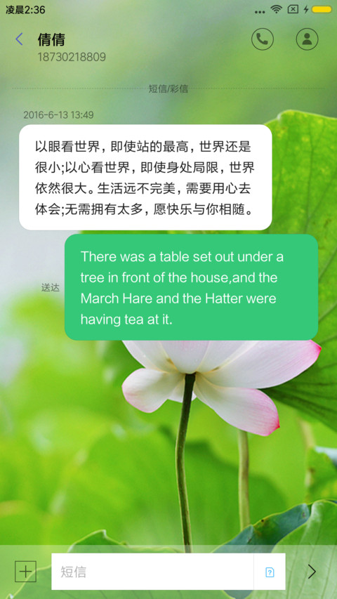 唯美荷花 screenshot