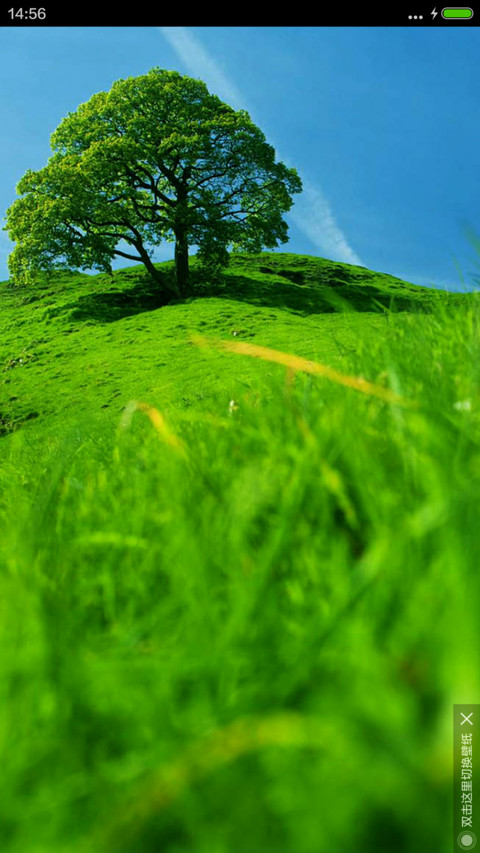 山上那棵树 screenshot