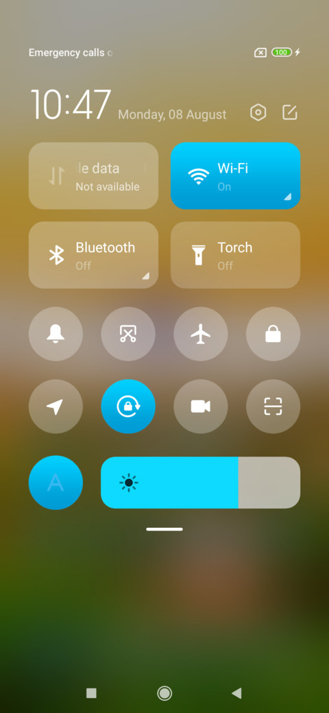 Independence Two screenshot