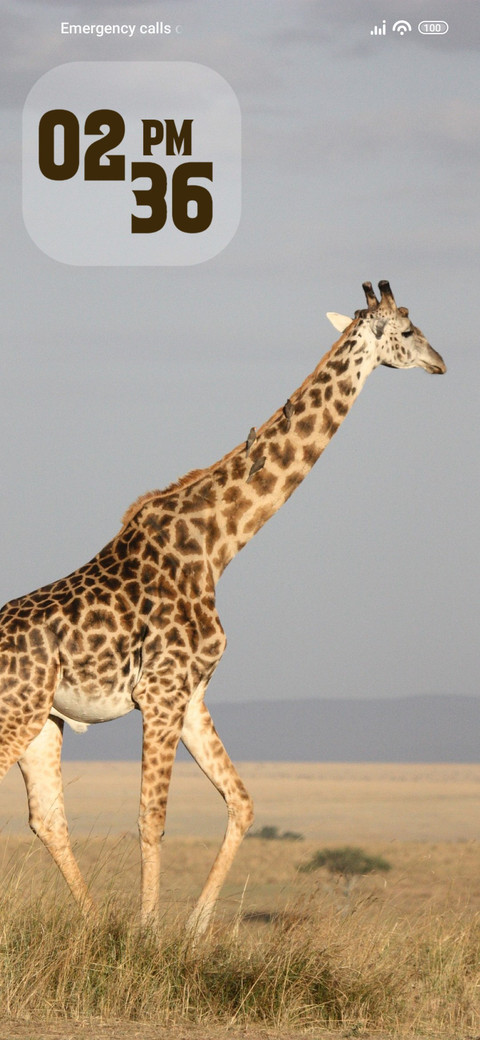 Giraffe screenshot