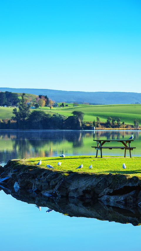 By the lake in the early morning screenshot