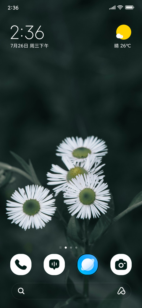 Monochrome Daisy screenshot