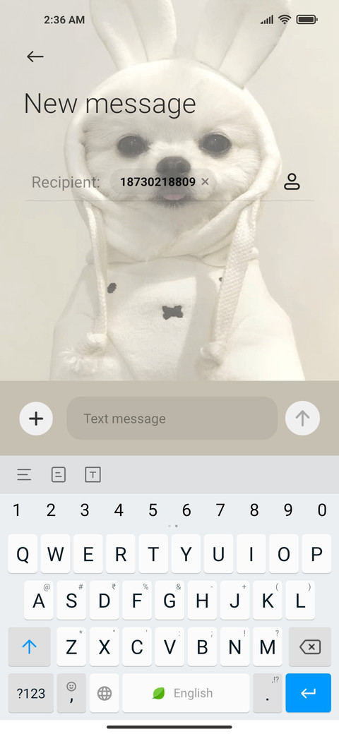 LovelyLittleBai screenshot