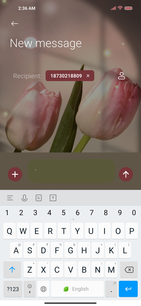 Pink tulip screenshot
