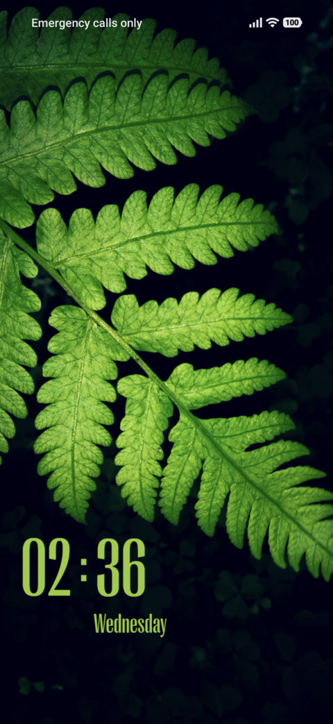 Green Leaf screenshot