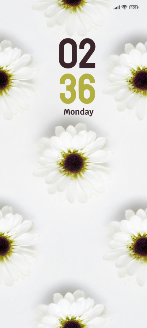 White Flowers screenshot